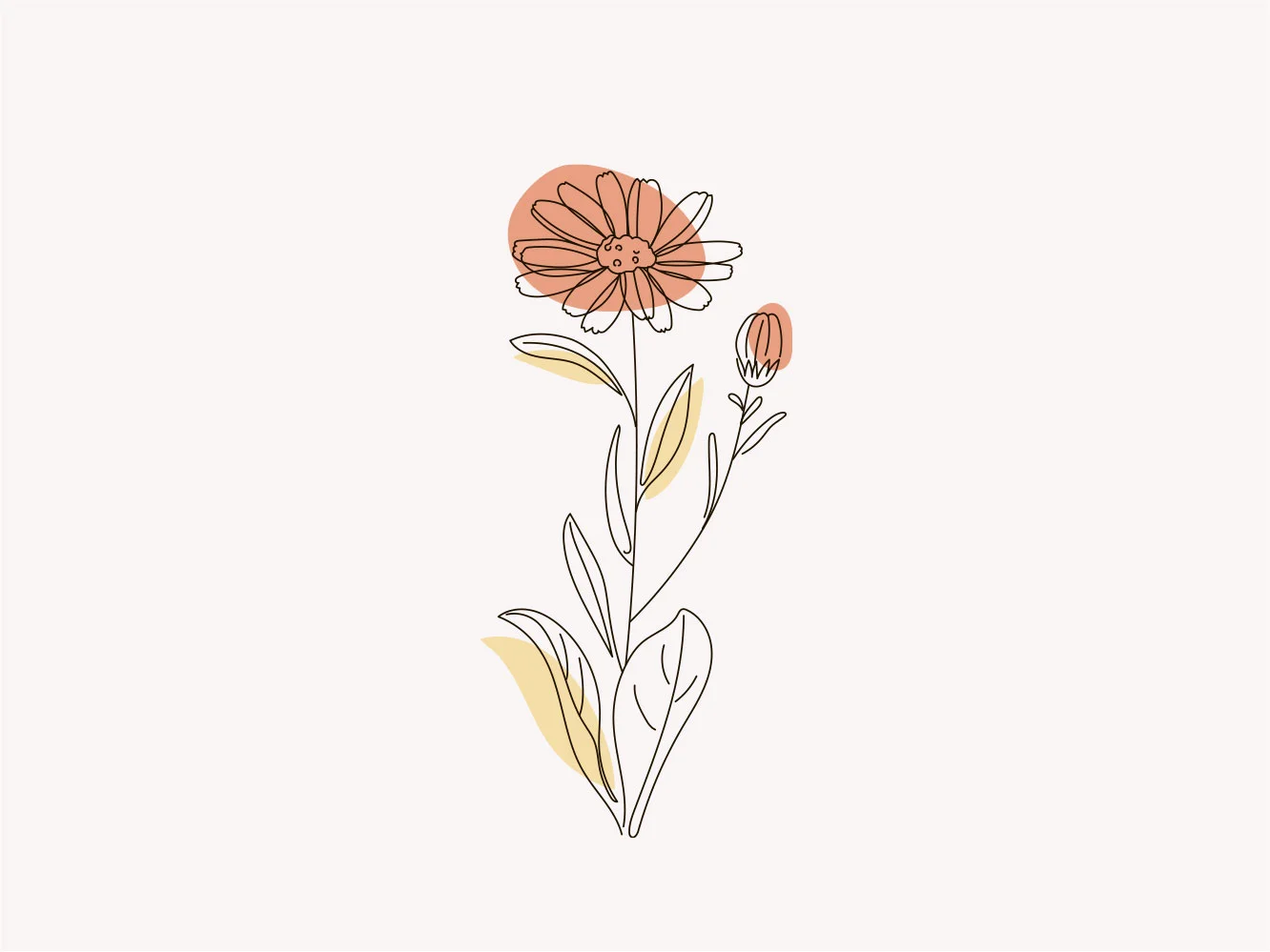 proj-10.webp